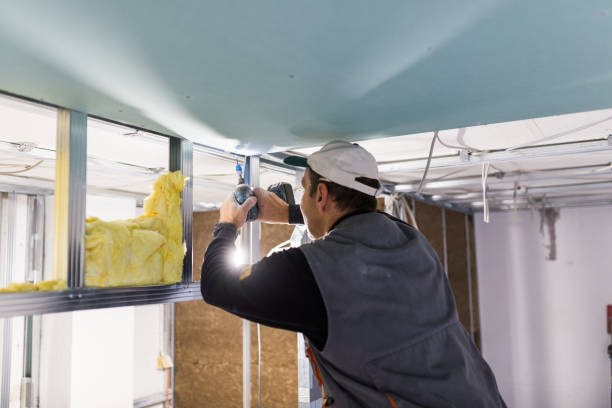 Best Cellulose Insulation in Pine Ridge, SC