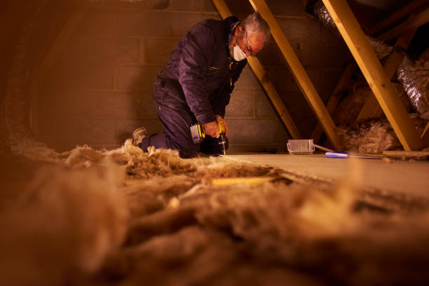Best Insulation Maintenance and Repair in Pine Ridge, SC